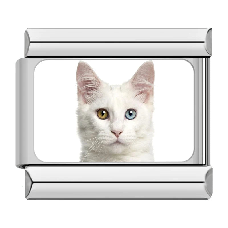 Italian Charms Gatitos - Charmsymore