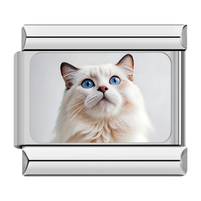 Italian Charms Gatitos - Charmsymore