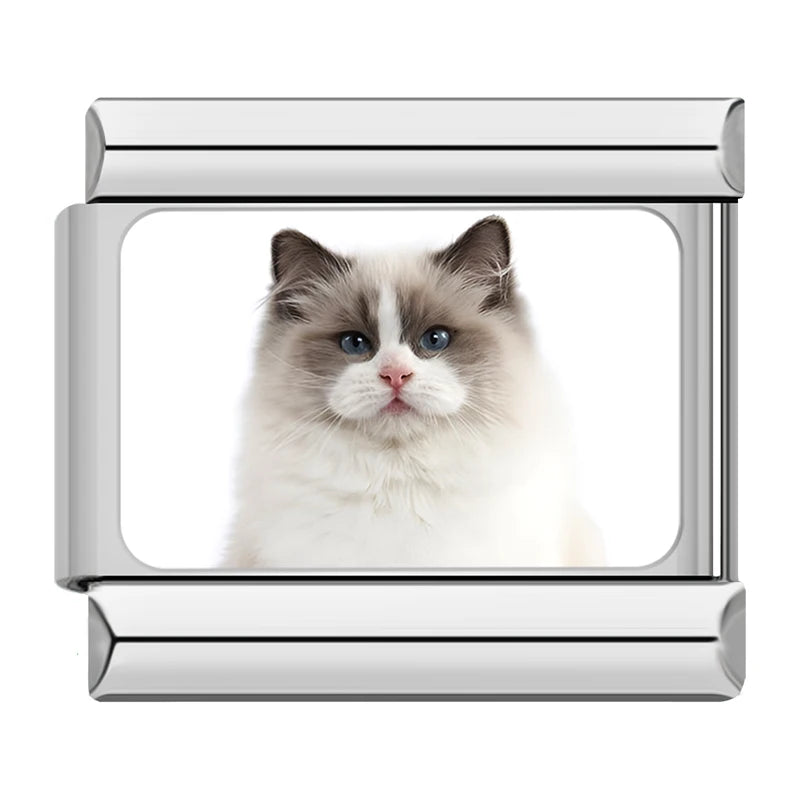 Italian Charms Gatitos - Charmsymore