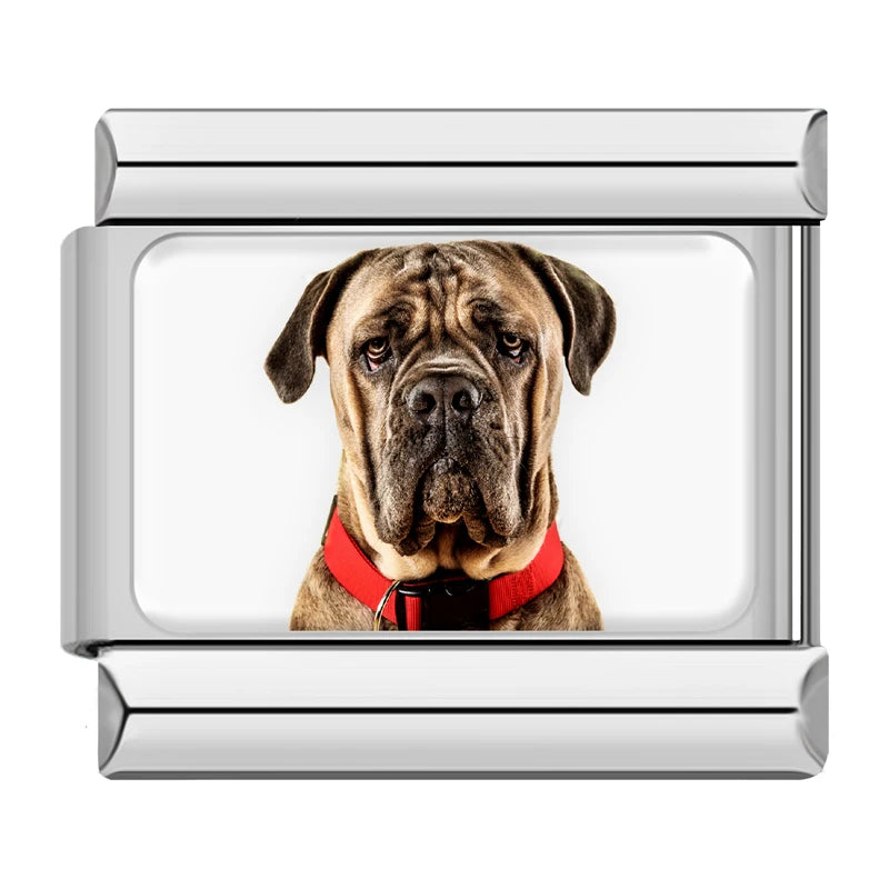 Italian Charms Perritos - Charmsymore