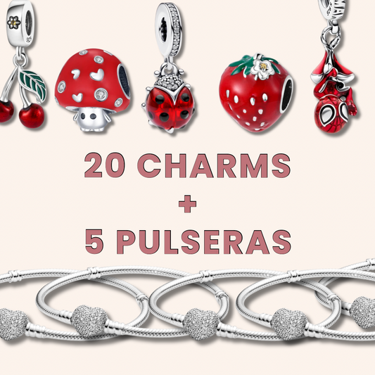 Paquete Charms Plata S925 + Pulseras Plata - Charmsymore